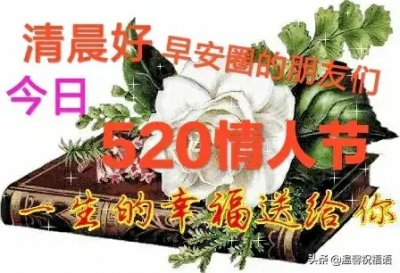 ​缘分和友谊七绝 缘分与友谊并存的意思